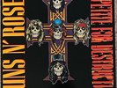 GUNS N' ROSES - Appetite For Destruction LP Record (Geffen - GHS 24148) EX Vinyl