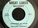 THE BLUES COMPANY Experiment In Color GREAT LAKES Michigan Garage Fenton LISTEN