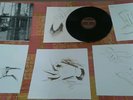 Paul McCartney chaos and creation in the backyard lp