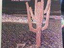 INDIAN SUMMER S/T 1971 RCA/NEON PROMO NE-3 HARD PSYCH PROG ROCK