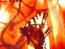 Rodan - Rusty  (Vinyl LP)  6 Tracks  Alternative Rock & Pop  NEW+