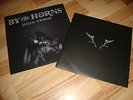 Julia Stone Vinyl LP Album OIS Absolute RARITÄT By The Horns
