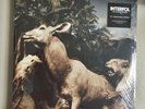 Interpol Our Love To Admire Smoky White Vinyl LP | SEALED
