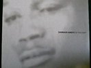 HORACE ANDY-IN THE LIGHT-1995 BLOOD AND FIRE LP-BAFLP006