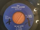 THE SEQUINS 'TRY MY LOVE' THE DETROIT SOUND RECORDING CO. RARE NORTHERN SOUL