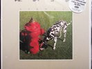 Rush - Signals (200g Audiophile Vinyl LP Record + Download) Sealed