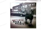 Gov't Mule - High & Mighty GER Rare 2LP 2006 FOC Top  Southern Blues //1