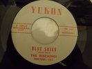 the Biscaines 1961 45rpm Blue Skies Menagerie SURF INSTRO Frank Zappa HEAR IT