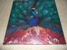 Opeth - Sorceress Box 2CD-DIGI + 2LP ROSE WOOD VINYL + Poster, eingeschweißt
