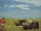 Lone Rhino Adrian Belew vinyl LP album record UK ILPS9675 ISLAND 1982
