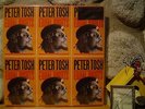 PETER TOSH Equal Rights LP/1977/Reggae/Sly & Robbie/Bunny Wailer/Simply Vinyl