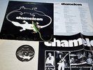 CHAMELEON Platinum LP - 744 US 1981 Private AOR Power Pop Yanni