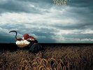 DEPECHE MODE - a broken frame