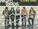 THE NIGHT BIRDS - LA STRADA BIANCA - 1966 BEAT GARAGE ROCK - PICTURE SLEEVE RARE