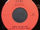 Garage: MARION DEATON GROUP Apple of My Eye 45 on ANBU mp3 LISTEN