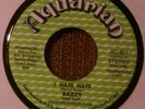 RAZZY and the Neighborhood Kids I Hate Hate Funk Soul Aquarian 7 45 Promo MONO