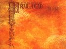 And You Will Know Us By The Trail Of Dead - Source Tags & Codes [Vinyl New]