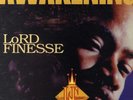 Lord Finesse - The Awakening '95 LP US ORG Special Limited Edition Instrumental