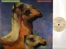 THE ROCHES we three kings (1st uk press) LP EX+/EX- MCG 6122 christmas/seasonal