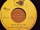 Patricio Rey Y Sus Redonditos de Ricota Ñam Fri Frufi RARE PERU 45