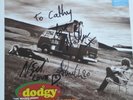 DODGY, HOMEGROWN. VERY RARE VINYL ALBUM - BAND SIGNED, EXCELLENT RARITY.