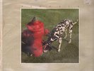 Rush Signals Mercury Vinyl LP