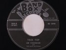 LEE CHANDLER & BLUE RHYTHMS: Tree Top / Consideration 45 Rockabilly
