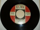 LOUISVILLE PSYCH 45 RPM RECORD - SOUL INC - LAURIE 3430