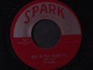ROBINS: Riot In Cell Block  #9 / Wrap It Up 45 (repro) Vocal Groups
