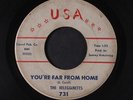 BELEGIANETTS: Do The Crank / You're Far From Home 45 Hear  (lbl wear, plays gre
