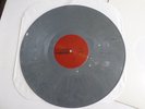 Pig Destroyer Terrifyer LP 2016 Relapse Grindcore Colored Vinyl Record