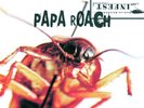 PAPA ROACH - INFEST (LP)   VINYL LP NEU
