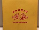Orchid 