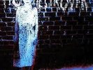 Pig Destroyer – Book Burner – VINYL LP