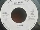 Suzy Wallis RCA 47-8863 