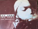 Ice Cube - The Predator - 12