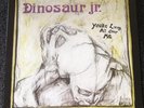 Dinosaur Jr. You're Living All Over Me AND Bug 2005 Baked Goods reissues.