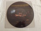 Picture LP RAMMSTEIN - LIEBE IST FÜR ALLE DA  ( 2009 Universal Music ) Wie Neu