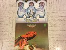 Gentle Giant Octopus And Three Friends