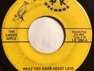 * CANDY APPLE What You Know About Love UNKNOWN   RARE  GARAGE PSYCH Lark 45 HEAR