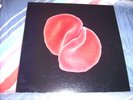 PETER GABRIEL  ++  SCRATCH MY BACK  ++  VINYL - LP  ++