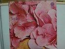 STILL LIFE / SAME, RARE GERMAN ORIGINAL SWIRL VERTIGO LP PROG HARD 6360 026 EX+