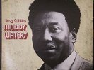Muddy Waters - They Call Me Muddy Waters LP - 1977 US Re-issue - Chess