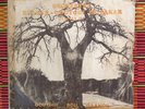 ORCHESTRE BAOBAB - RARE AFRO CUBAN DISCAFRIQUE