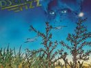 Dschinn Fizz, There Is a Playne Difference LP   RAR   UNBESPIEL KRAUTROCK