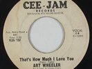 Northern/Deep Soul 45 - Art Wheeler - That's How Much I Love You - Cee-Jam - mp3