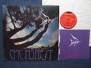 Rare Bird - epic forest, with orig. single, 1. UK issue, rare psych/progressive