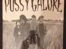 Groovy Hate F*** [EP] [EP] [PA] by Pussy Galore (Vinyl, Apr-2013, Vinyl Drip)