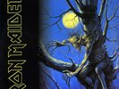Iron Maiden - Fear Of The Dark - Vinyl LP - New And Sealed - FREE SHIP