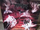 Immolation - Dawn Of Possession